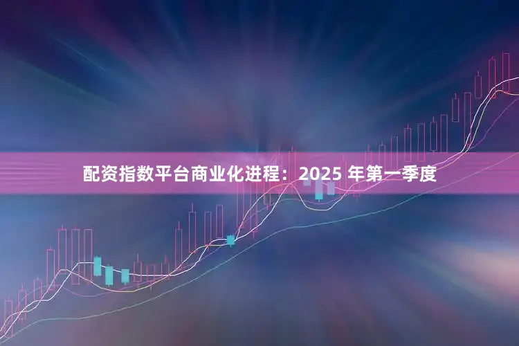 配资指数平台商业化进程：2025 年第一季度